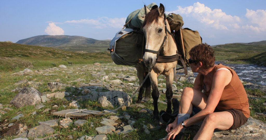 Nordlandshesten Borken i Børgefjell. Foto: Are Halse